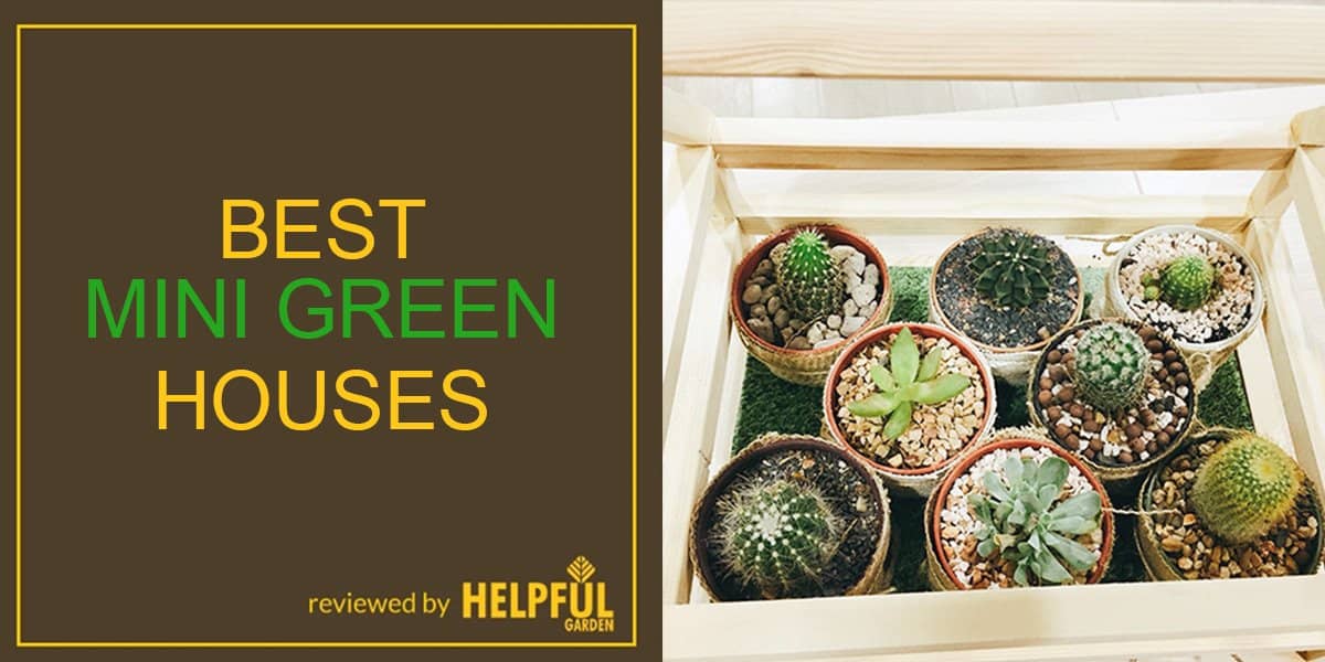 best mini greenhouses, best Mini Greenhouse