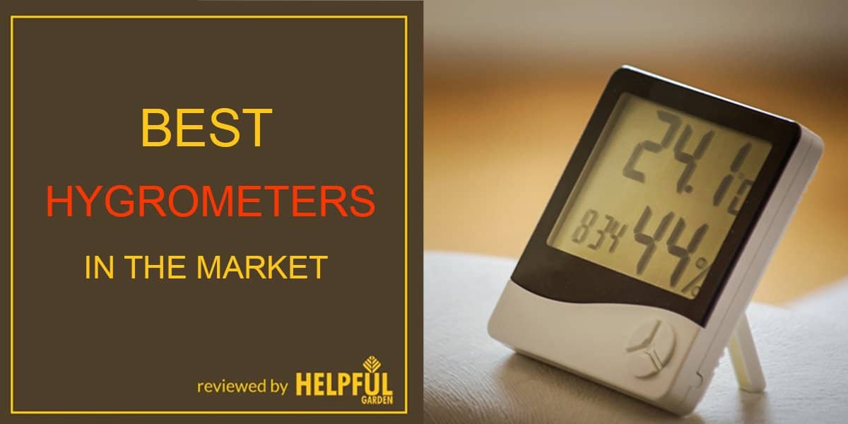 best hygrometers in the market