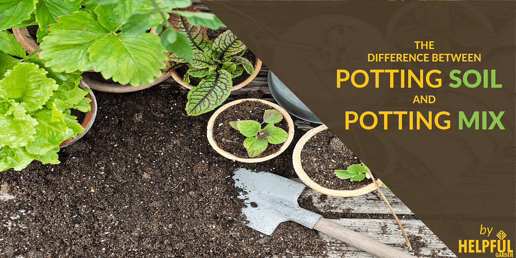 The Difference Between Potting Soil and Potting Mix