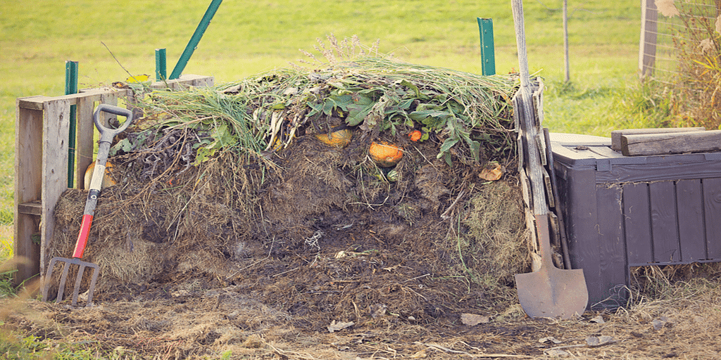 How To Start Composting – The Definitive Guide