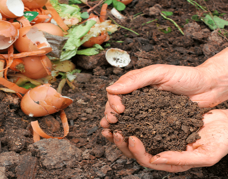 What Happens During Composting
